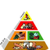 Balanced Plate
