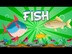 Fish | Educational Video for K
