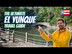 The Ultimate El Yunque Nationa