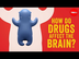 How do drugs affect the brain?