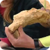 Gesteente - fossiel (Klokhuis)