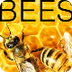 Bee Cam - live camera inside o