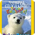 Polar Bears