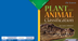 18 Plant Animal Classifi