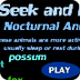 Nocturnal Animals -Seek and Fi