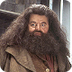 Rubeus Hagrid - Wikipedia
