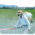 Pesticides and Water