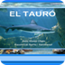 JClic: El tauró