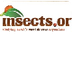 Insect Pictures & Bio