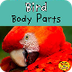 MyOn - Bird Body Parts