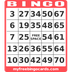 Custom bingo card generator