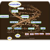 Estructura y función de ác. nu