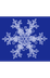 Snowflake Photographs - SnowCr