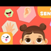 Los cinco sentidos para niños