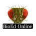 Home | BioEd Online