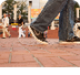 Walking tours