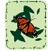 Butterfly Life Cycle Game