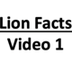 Lion facts for kids - Facts ab