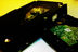 Milwaukee Digital Forensics In
