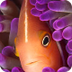 One Ocean: Games and Explore