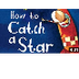 How To Catch A Star 