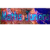 Rallyes et défis math.
