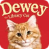 DEWEY - The Small-Town Library