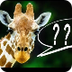 What Does The Giraffe Say? 