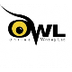 Writing tool: Purdue OWL
