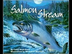 Salmon Stream Read Aloud