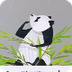 Panda wil een vriendje