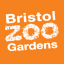 Welcome to Bristol Zoo
       