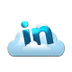 LinkedIn API