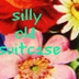 silly old suitcase