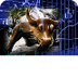 Closing Updates- Nifty, Sense
