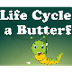Life Cycle of a Butterfly - Yo