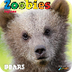 Zoobies Bears 2013