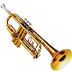 Memory instrumentos viento
