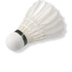Florida Badminton Association
