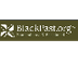 BlackPast.org
