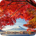 47 Fotos de Japón