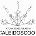caleidoscoop.com