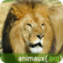 ANIMAUX .ORG : Encyclopedie An