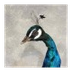 Ella - Peacocks