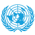 UN Internship Programme