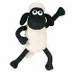xai shaun