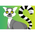 Lemur Center | Highlights Kids
