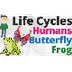 Life Cycle Songs for Kids