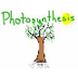 Photosynthesis in plants Anima