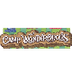 Camp Wonderopolis 